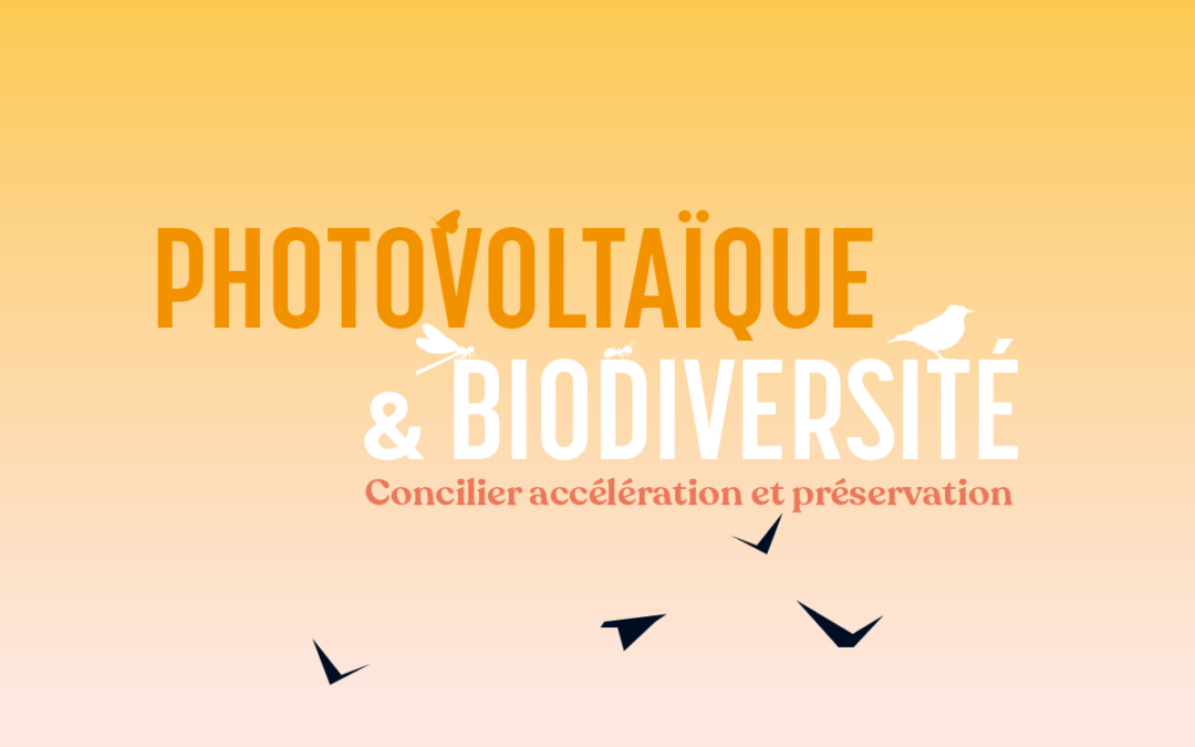 Photovoltaïque et biodiversité