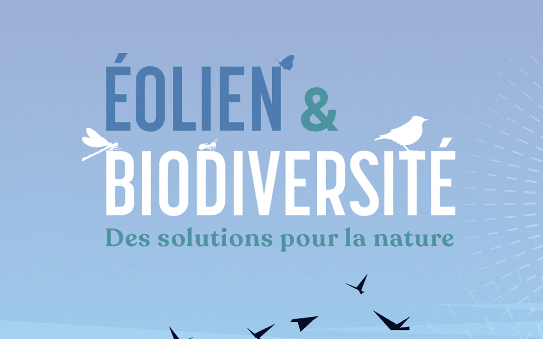 Éolien et biodiversité