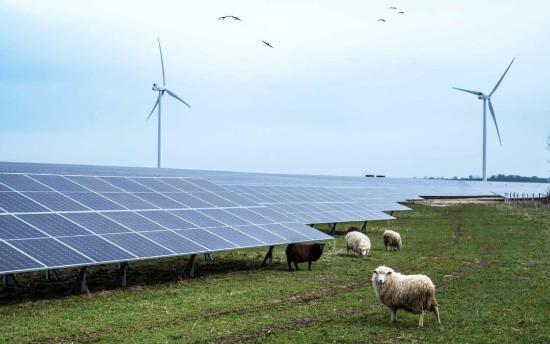 Énergies renouvelables électriques et protection de la biodiversité